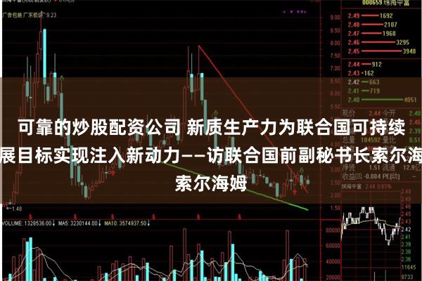 可靠的炒股配资公司 新质生产力为联合国可持续发展目标实现注入新动力——访联合国前副秘书长索尔海姆