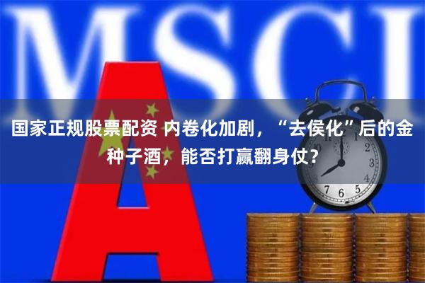 国家正规股票配资 内卷化加剧，“去侯化”后的金种子酒，能否打赢翻身仗？